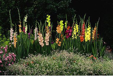 腾讯将成为《消逝的光芒》开发商Techland最大股东